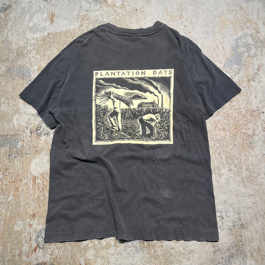 古着 90's~ ヘインズ/"plantation days"/農業/ヴィンテージ シングルステッチ プリントTシャツ/サイズL