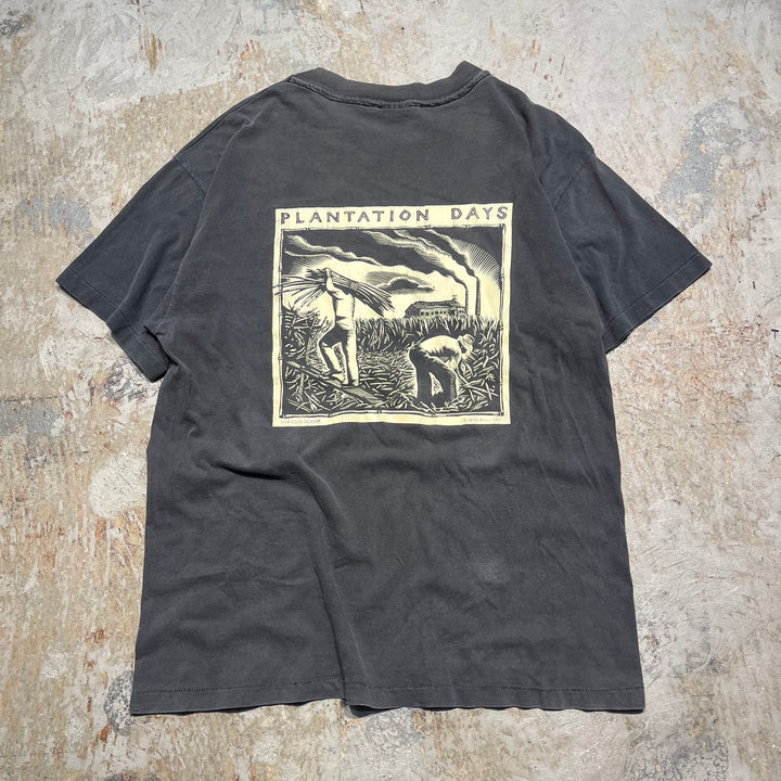 古着 90's~ ヘインズ/"plantation days"/農業/ヴィンテージ シングルステッチ プリントTシャツ/サイズL