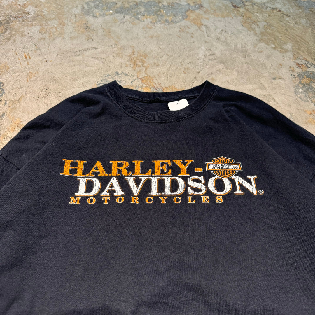 古着 Harley-Davidson/ハーレーダビッドソン/ プリントロングTシャツ/ サイズ2XL相当