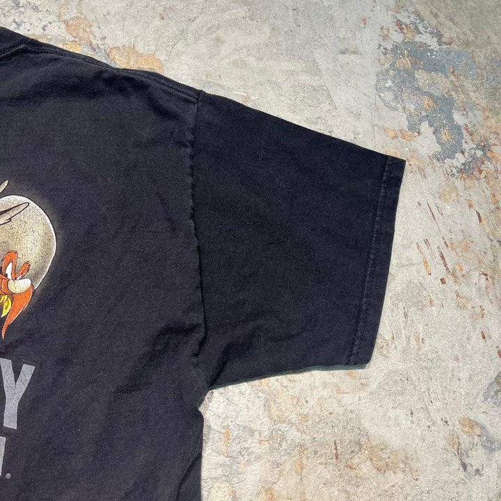 古着 Harley-Davidson/ハーレー ダビッドソン / ワーナーブラザーズ / コロラド州 グレンウッド･スプリングス ストア  / プリントTシャツ / サイズL相当
