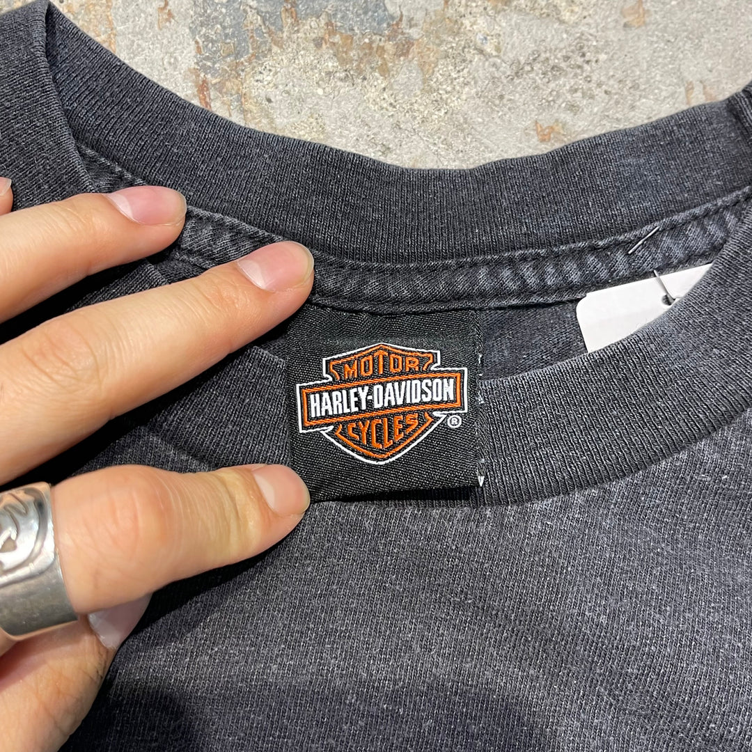 古着 USA製 Harley-Davidson/ハーレー ダビッドソン / フロリダ州パナマ･シティ･ビーチ ストア/ プリントTシャツ / サイズL相当