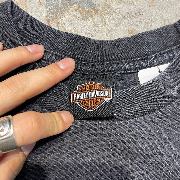 古着 USA製 Harley-Davidson/ハーレー ダビッドソン / フロリダ州パナマ･シティ･ビーチ ストア/ プリントTシャツ / サイズL相当