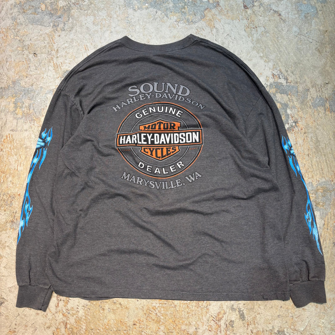 古着 USA製 Harley-Davidson/ハーレーダビッドソン/ プリントロングスリーブTシャツ/ サイズXXL