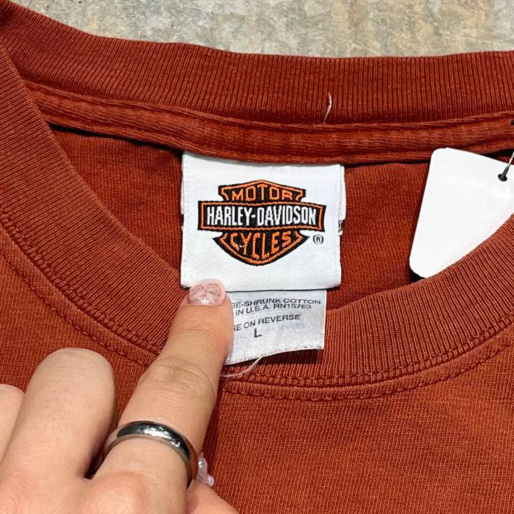 古着 USA製 Harley-Davidson/ハーレー ダビッドソン ワシントン州 ダウンタウン･シアトル プリントTシャツ サイズL