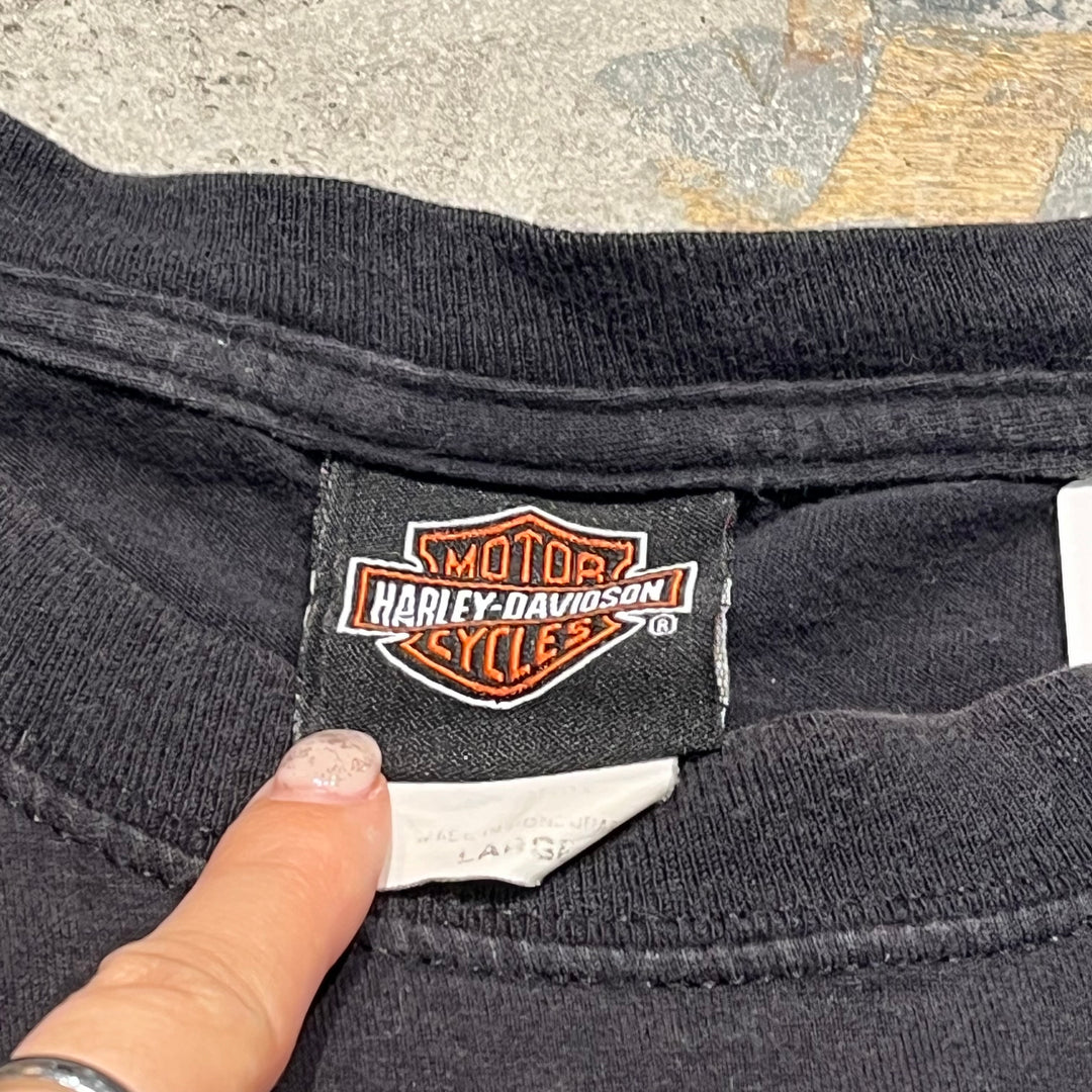 古着 Harley-Davidson/ハーレー ダビッドソン / ワーナーブラザーズ / コロラド州 グレンウッド･スプリングス ストア  / プリントTシャツ / サイズL相当
