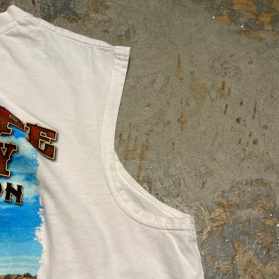 #4792 古着 HARLEY-DAVIDSON/ハーレーダビッドソン/ノースリーブプリントTシャツ/サイズL