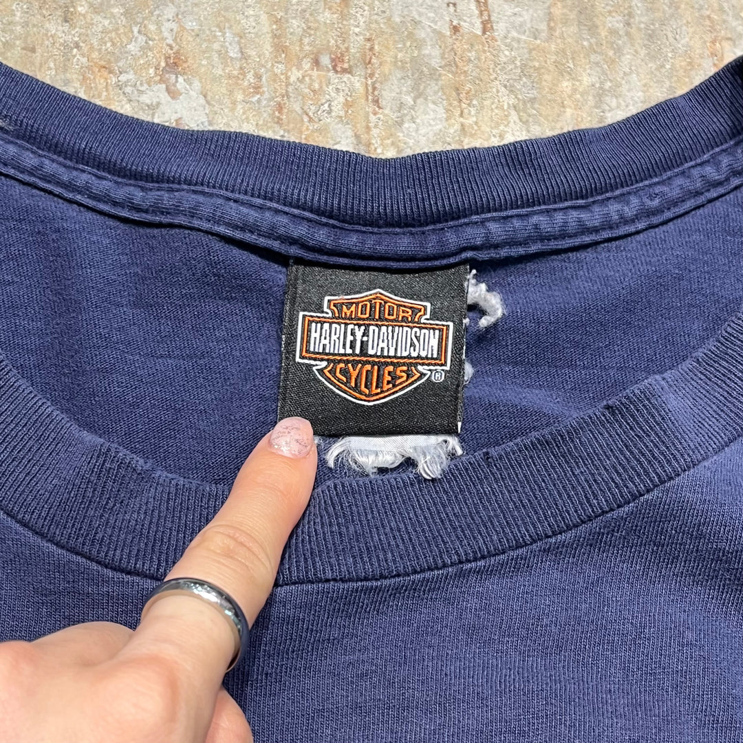 古着 Harley-Davidson/ハーレー ダビッドソン DAYTONA BIKE WEEK フロリダ州 オーランド イベントTシャツ サイズXL相当