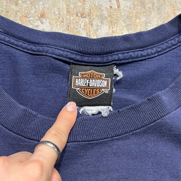 古着 Harley-Davidson/ハーレー ダビッドソン DAYTONA BIKE WEEK フロリダ州 オーランド イベントTシャツ サイズXL相当