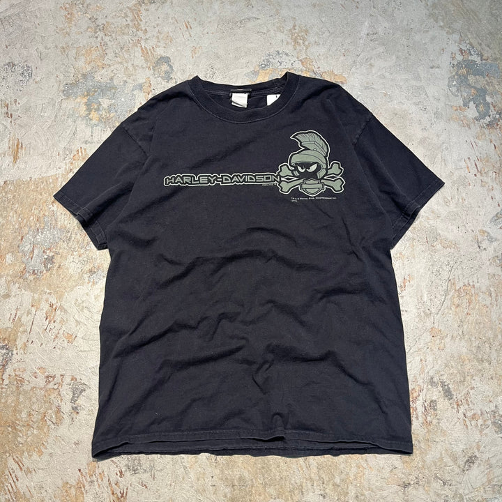 古着 Harley-Davidson/ハーレー ダビッドソン / ワーナーブラザーズ / コロラド州 グレンウッド･スプリングス ストア  / プリントTシャツ / サイズL相当