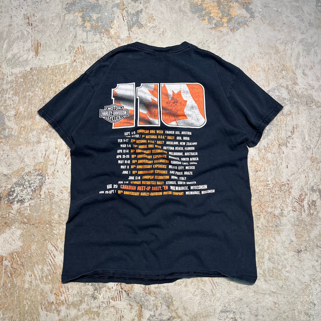 古着 Harley-Davidson/ハーレー ダビッドソン/ウィスコンシン州/ミルウォーキー/110周年記念/プリントノースリーブTシャツ サイズXL相当
