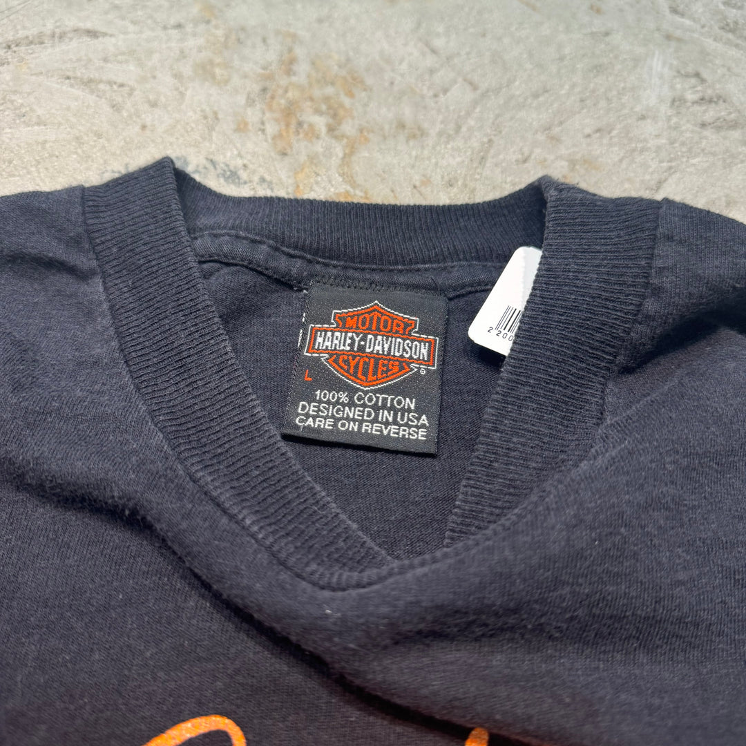 古着 USA製 95's Harley-Davidson/ハーレーダビッドソン/ プリントTシャツ/ シングルステッチ/ サイズL