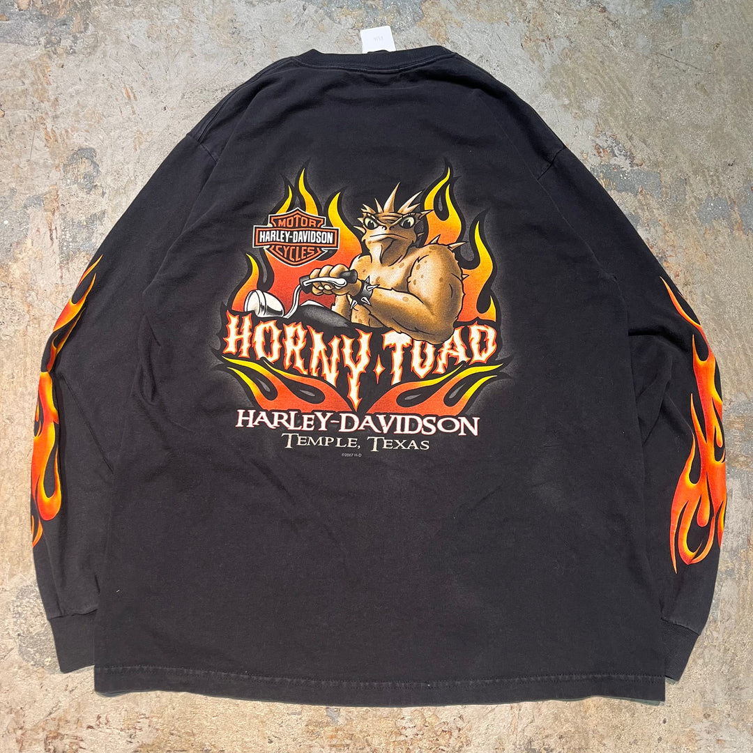 古着 Harley-Davidson/ハーレーダビッドソン/ プリントロングTシャツ/ サイズL