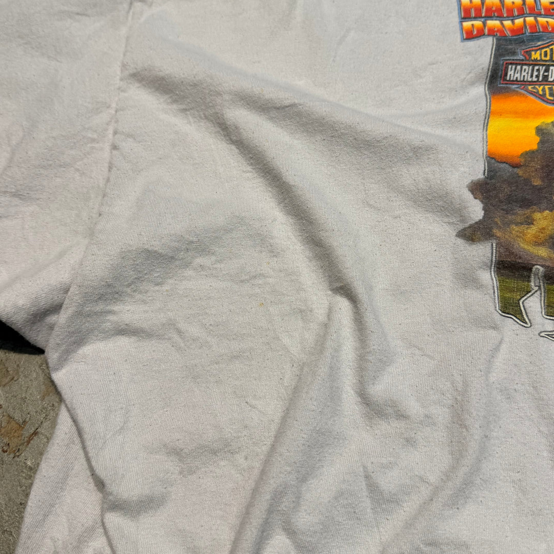 古着 Harley-Davidson/ハーレーダビッドソン/ プリントTシャツ/ サイズ3XL