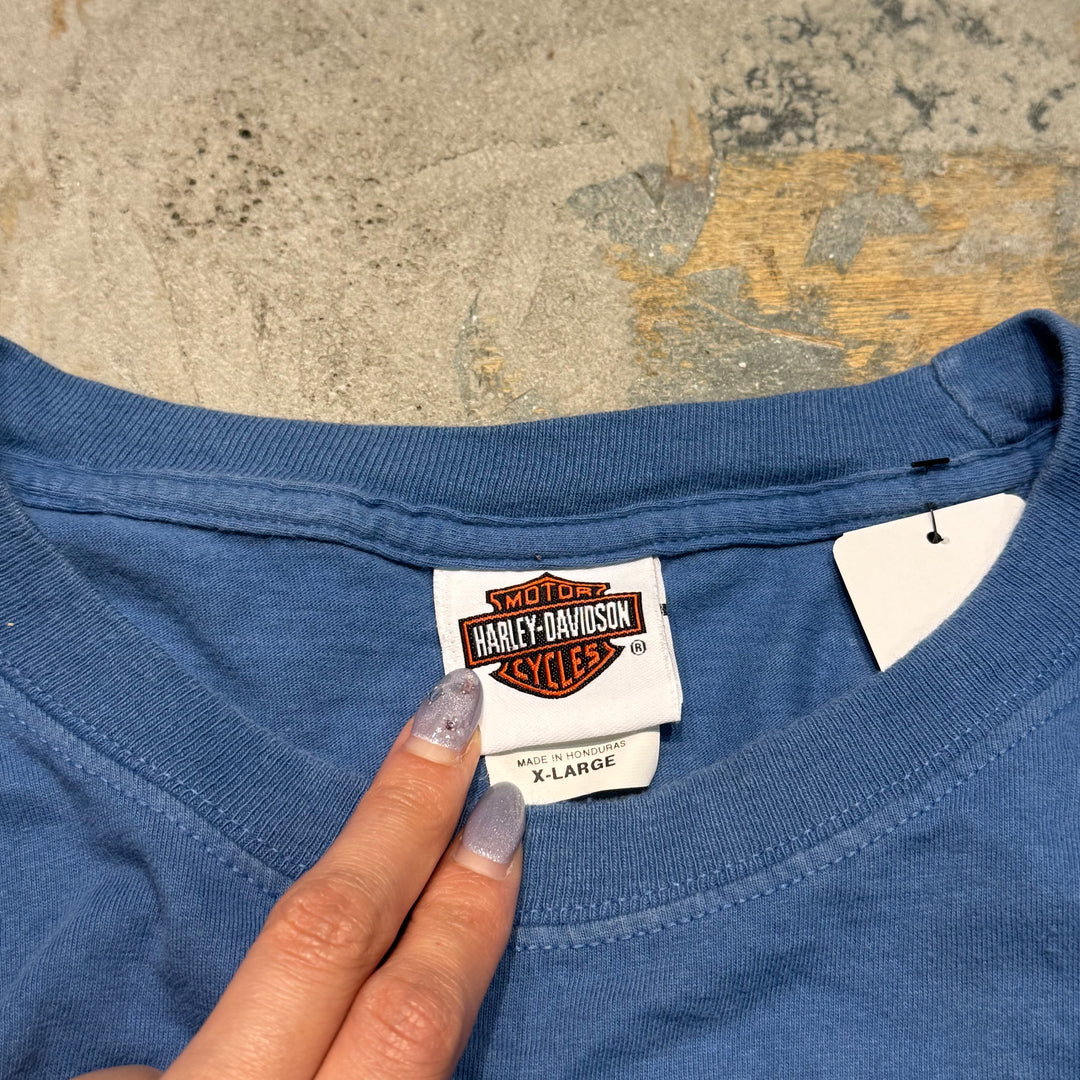 古着 Harley-Davidson/ハーレーダビッドソン/ プリントTシャツ/ サイズXL