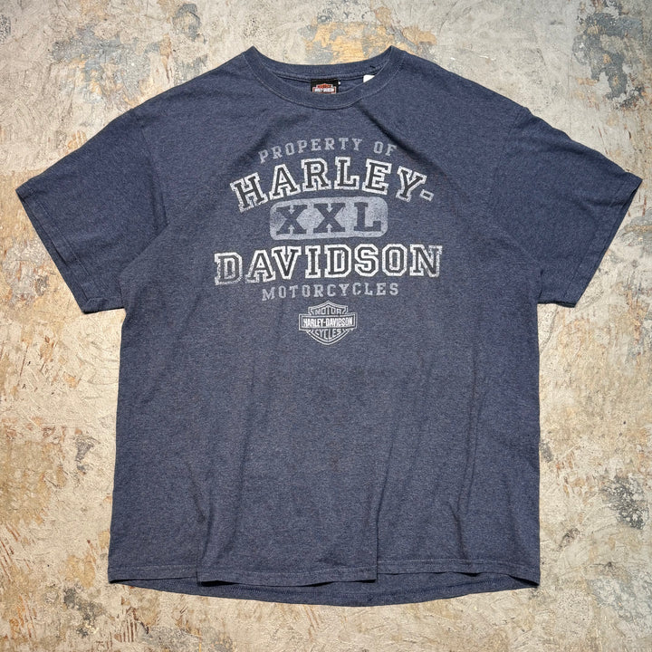 古着 Harley-Davidson/ハーレーダビッドソン/ プリントTシャツ/ サイズXL