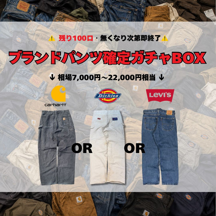 《残り100口》Carhartt,Dickies,LEVI'Sが確定で当たる。コスパ最強”夏ガチャBOX(2着セット)