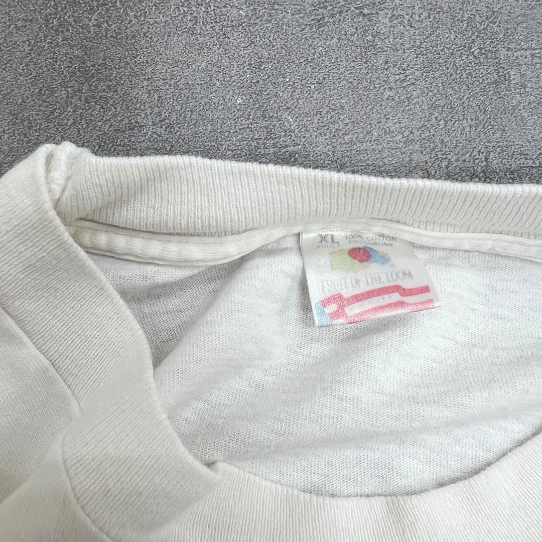 #532 90's Vintage/ヴィンテージ FRUIT OF THE ROOM／フルーツオブザルーム シングルステッチ Tee/Tシャツ MADE IN USA サイズXL