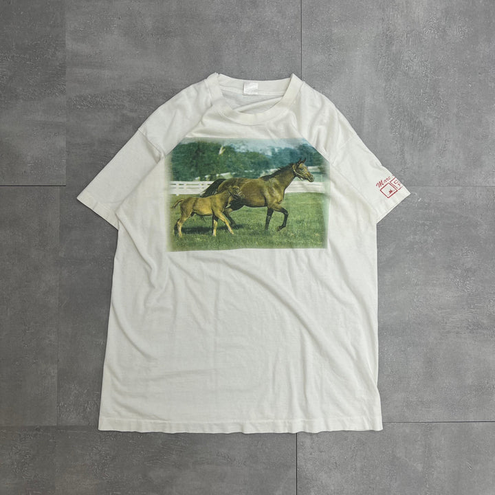 #532 90's Vintage/ヴィンテージ FRUIT OF THE ROOM／フルーツオブザルーム シングルステッチ Tee/Tシャツ MADE IN USA サイズXL